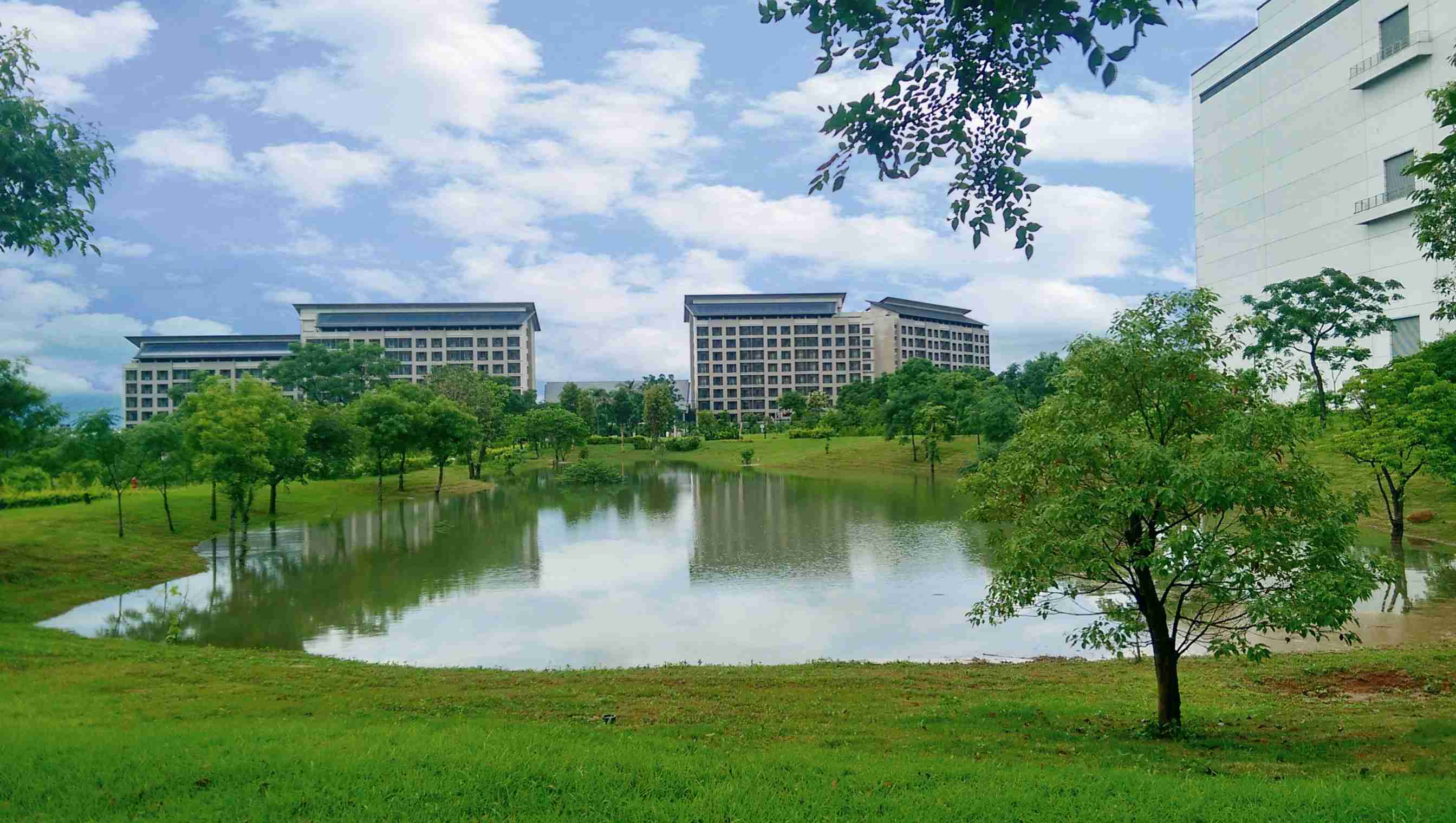 彩神vll响应国际倡议生物多样性趋势，，，，首次发布TNFD自然相关财务揭露报告书，，，擘划及开展彩神vll生物多样性政策之承诺，，逐步迈向与自然和谐共生